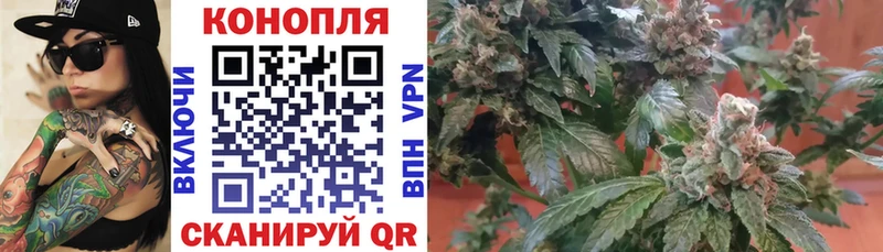 Купить где  Крымск  Бошки марихуана LSD WEED 